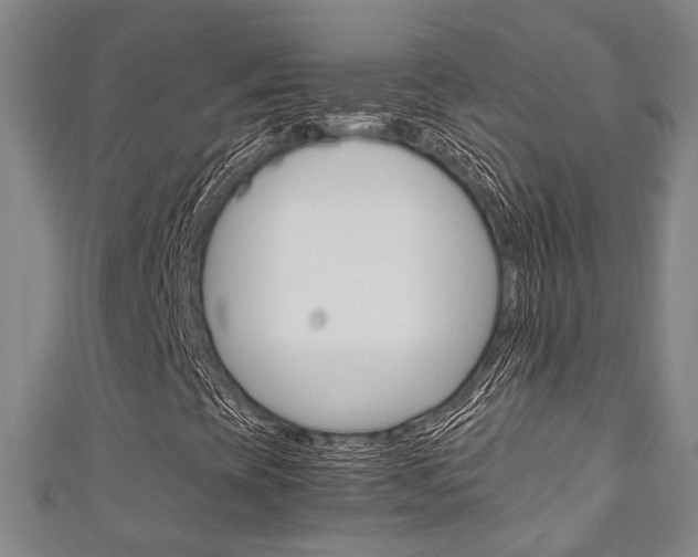 X0000111251393200907021010