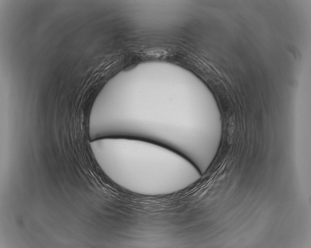X0000111251394200907021010