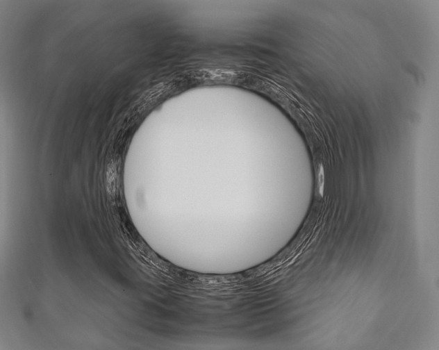 X0000111251395200907021010