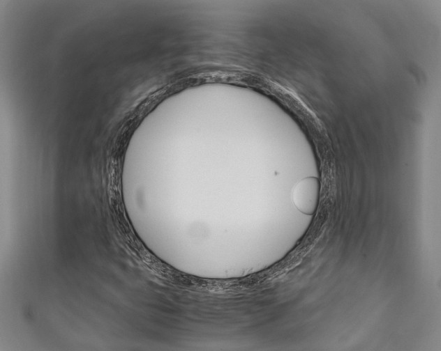 X0000111251399200907021010