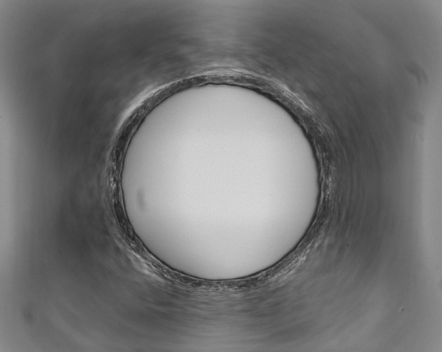 X0000111251400200907021010