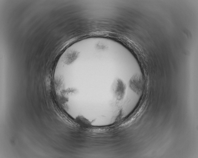 X0000111251401200907021010