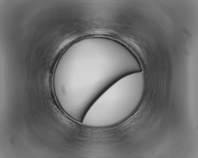 X0000111251404200907021010