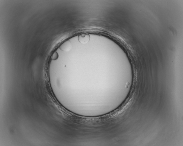 X0000111251405200907021010