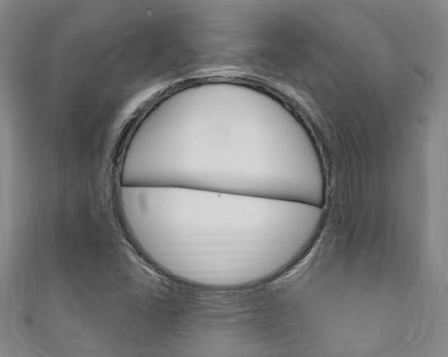 X0000111251406200907021010