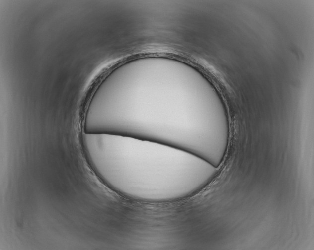 X0000111251408200907021010