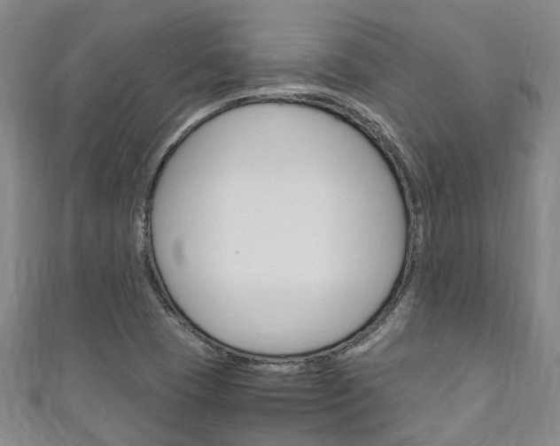 X0000111251409200907021010