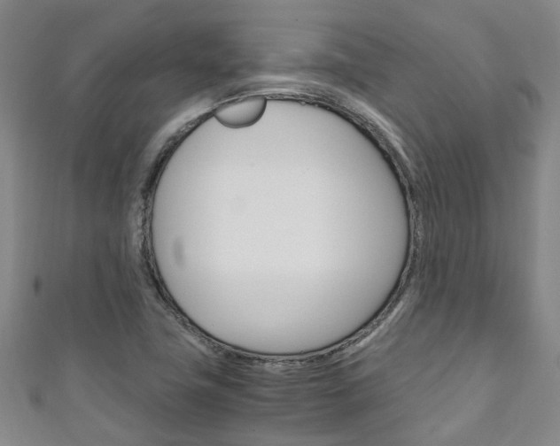 X0000111251411200907021010