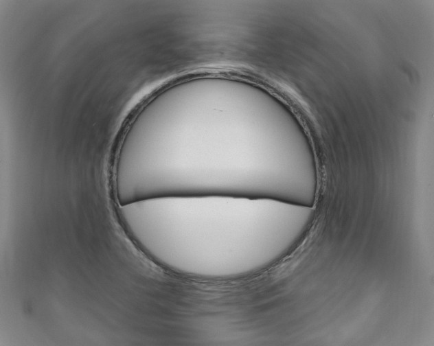 X0000111251412200907021010