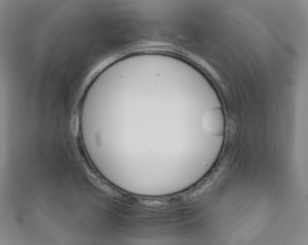X0000111251413200907021010