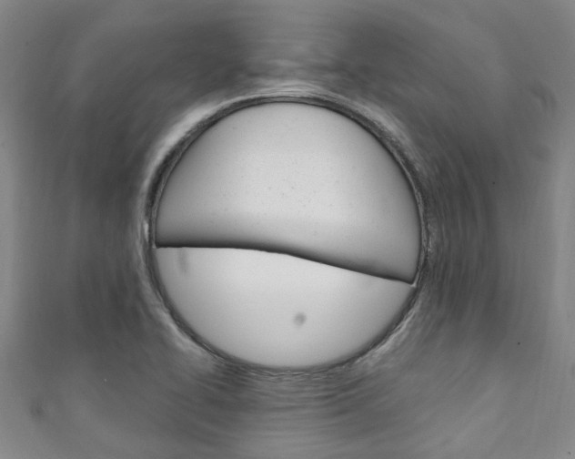 X0000111251414200907021010