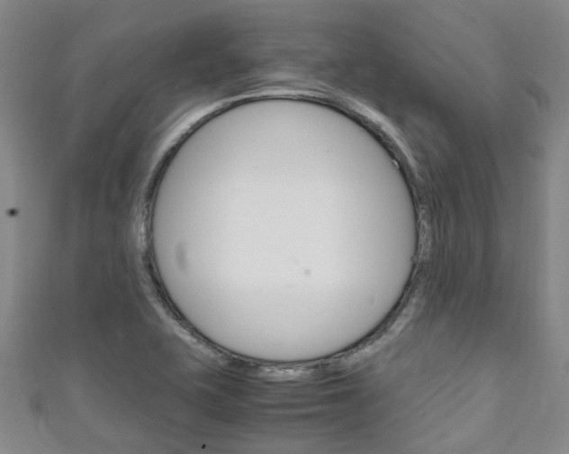 X0000111251415200907021010