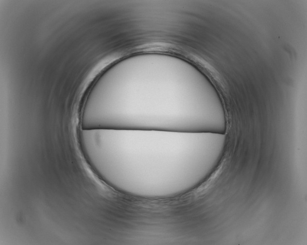 X0000111251418200907021010