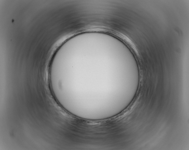 X0000111251419200907021010