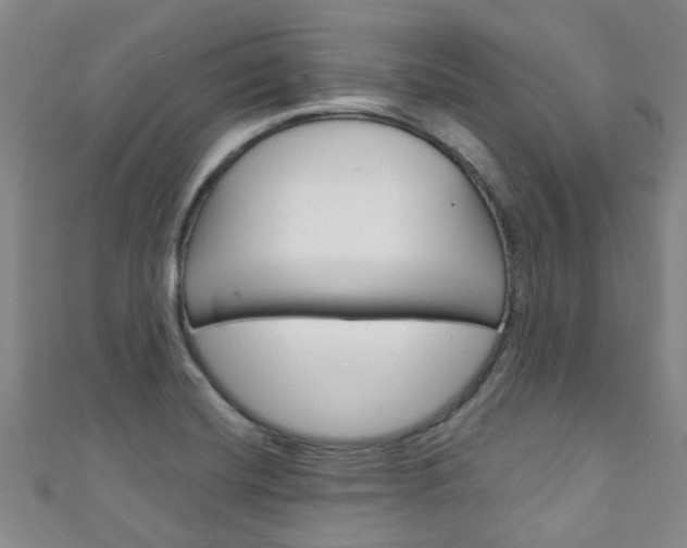 X0000111251420200907021010