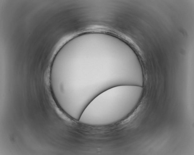 X0000111251421200907021010