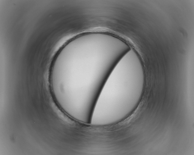 X0000111251422200907021010