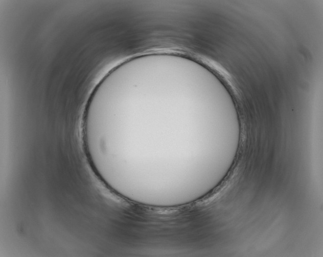 X0000111251423200907021010