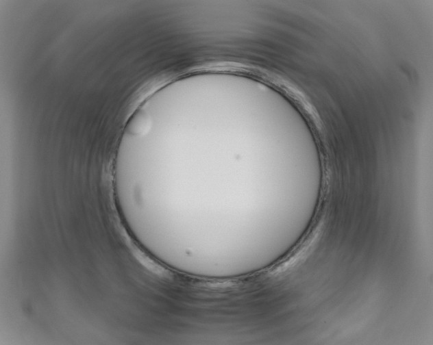 X0000111251425200907021010