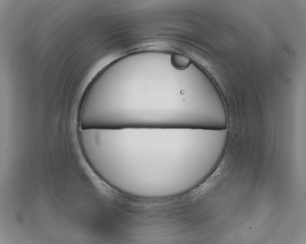 X0000111251426200907021010