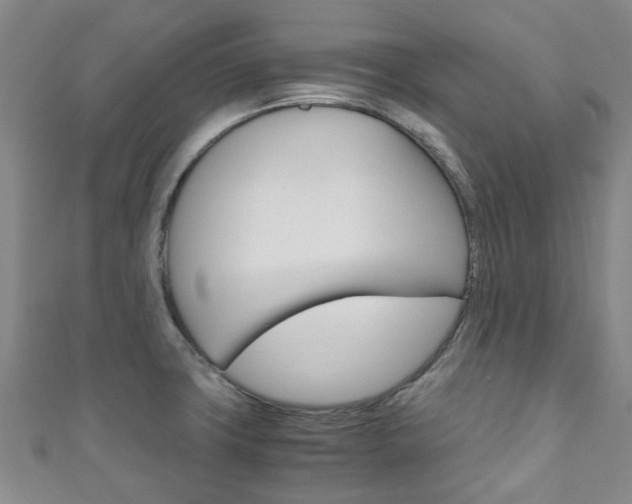 X0000111251427200907021010