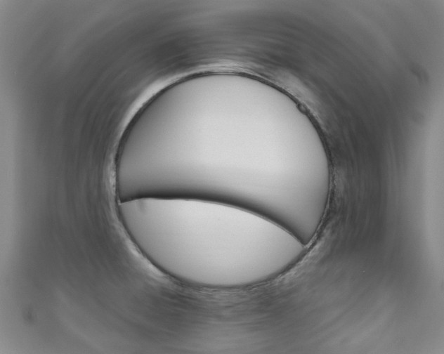 X0000111251428200907021010