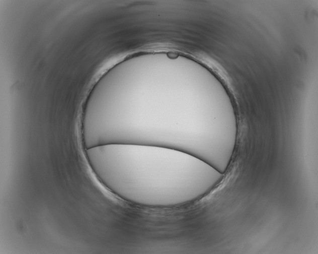 X0000111251429200907021010