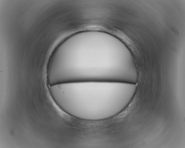 X0000111251430200907021010