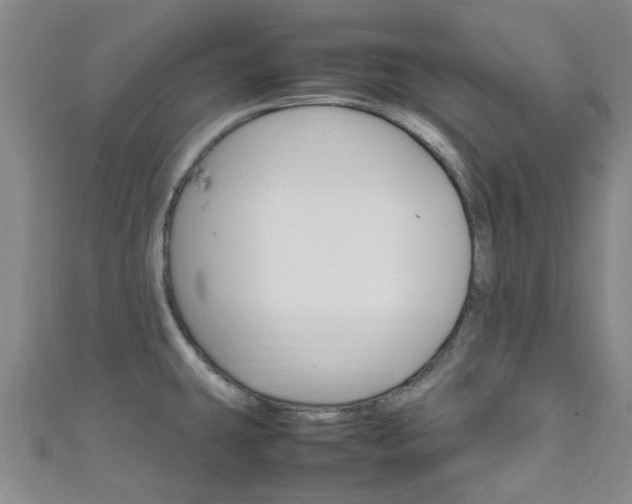 X0000111251431200907021010