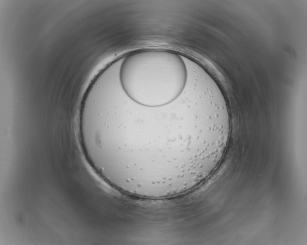 X0000111251432200907021010