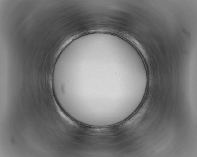X0000111251433200907021010