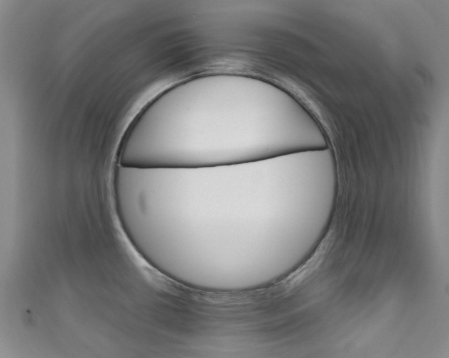X0000111251434200907021010