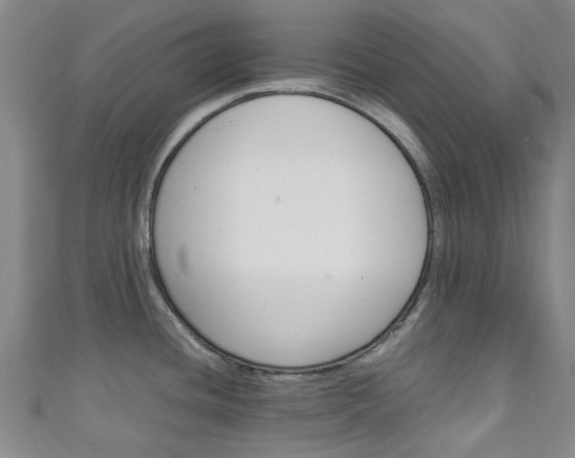 X0000111251436200907021010