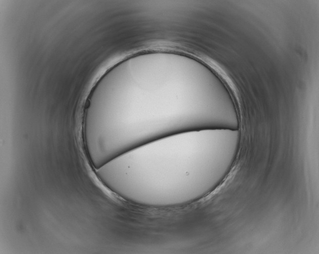 X0000111251437200907021010
