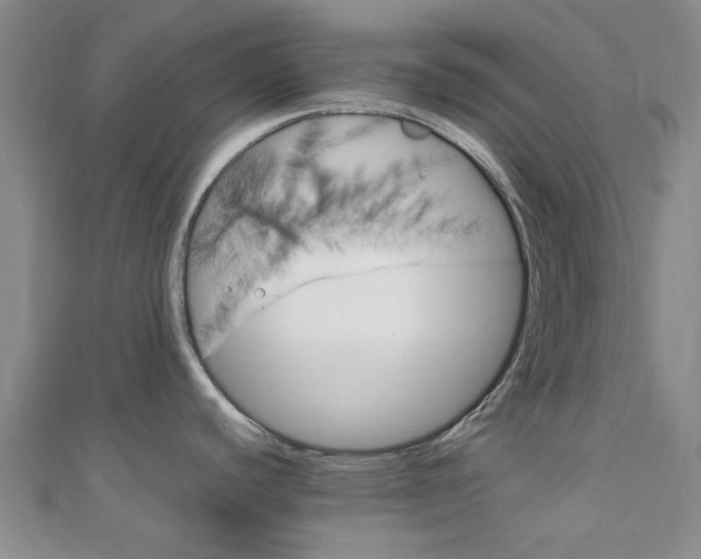 X0000111251440200907021010