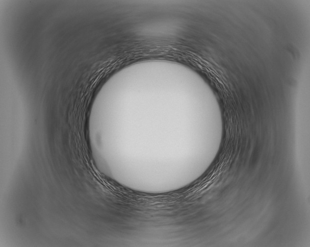 X0000111251441200907021010