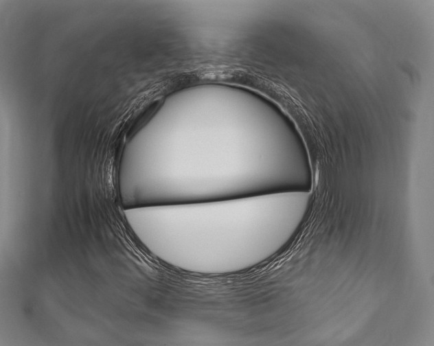 X0000111251444200907021010