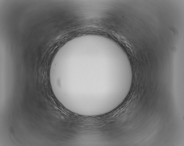X0000111251445200907021010
