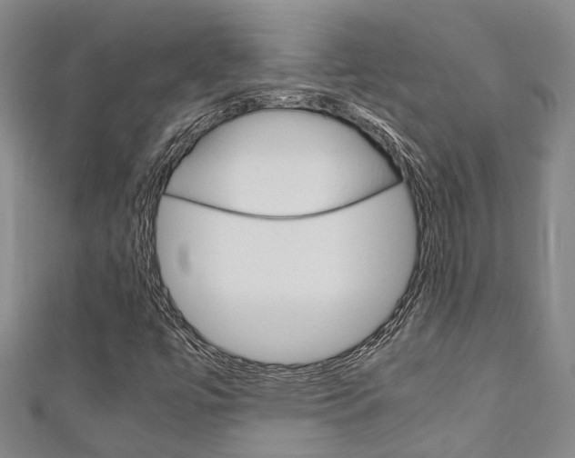 X0000111251447200907021009
