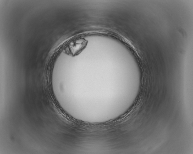 X0000111251448200907021009