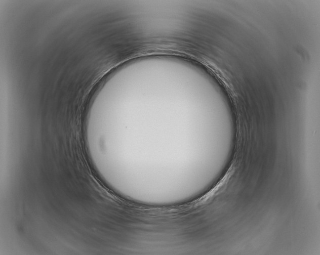 X0000111251449200907021009