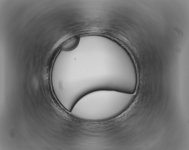 X0000111251450200907021009