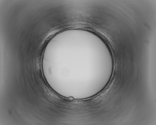 X0000111251451200907021009