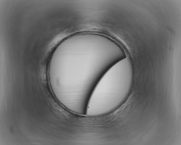X0000111251455200907021009