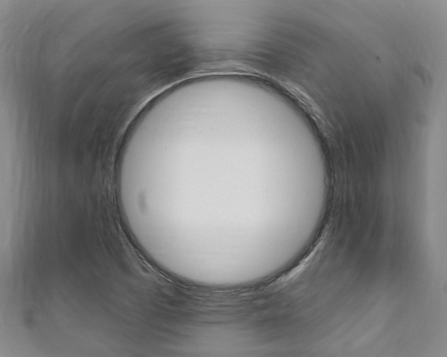 X0000111251457200907021009