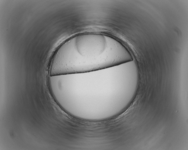 X0000111251459200907021009