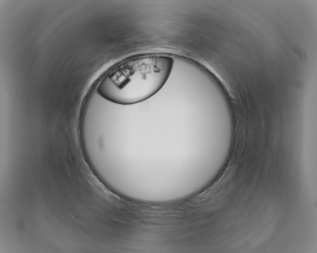 X0000111251460200907021009