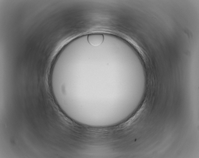 X0000111251461200907021009
