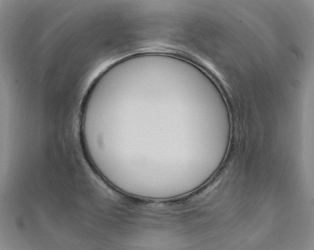 X0000111251463200907021009