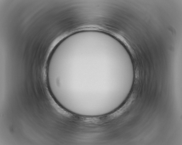 X0000111251466200907021009